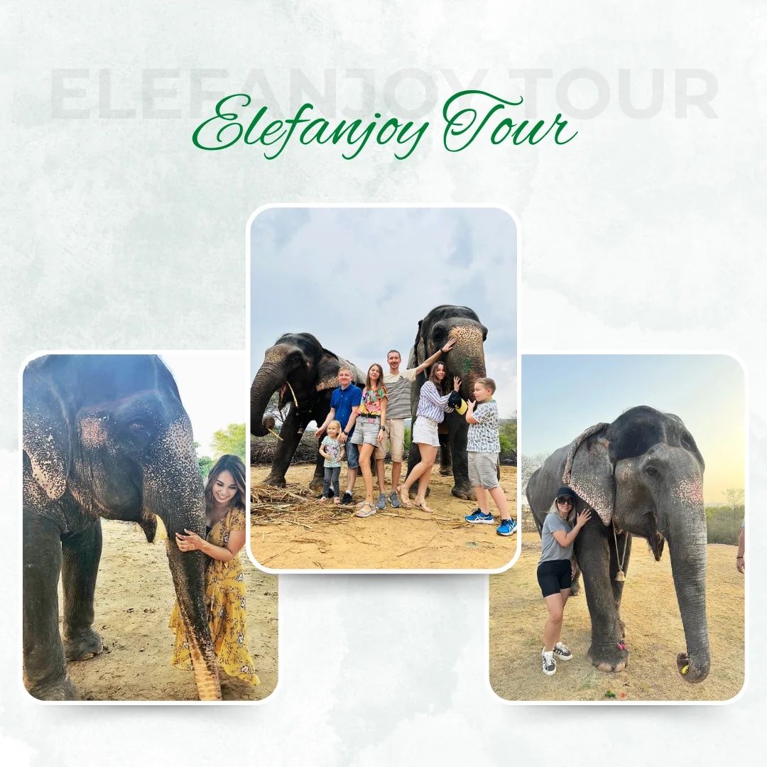 Elefanjoy-tour-in-jaipur