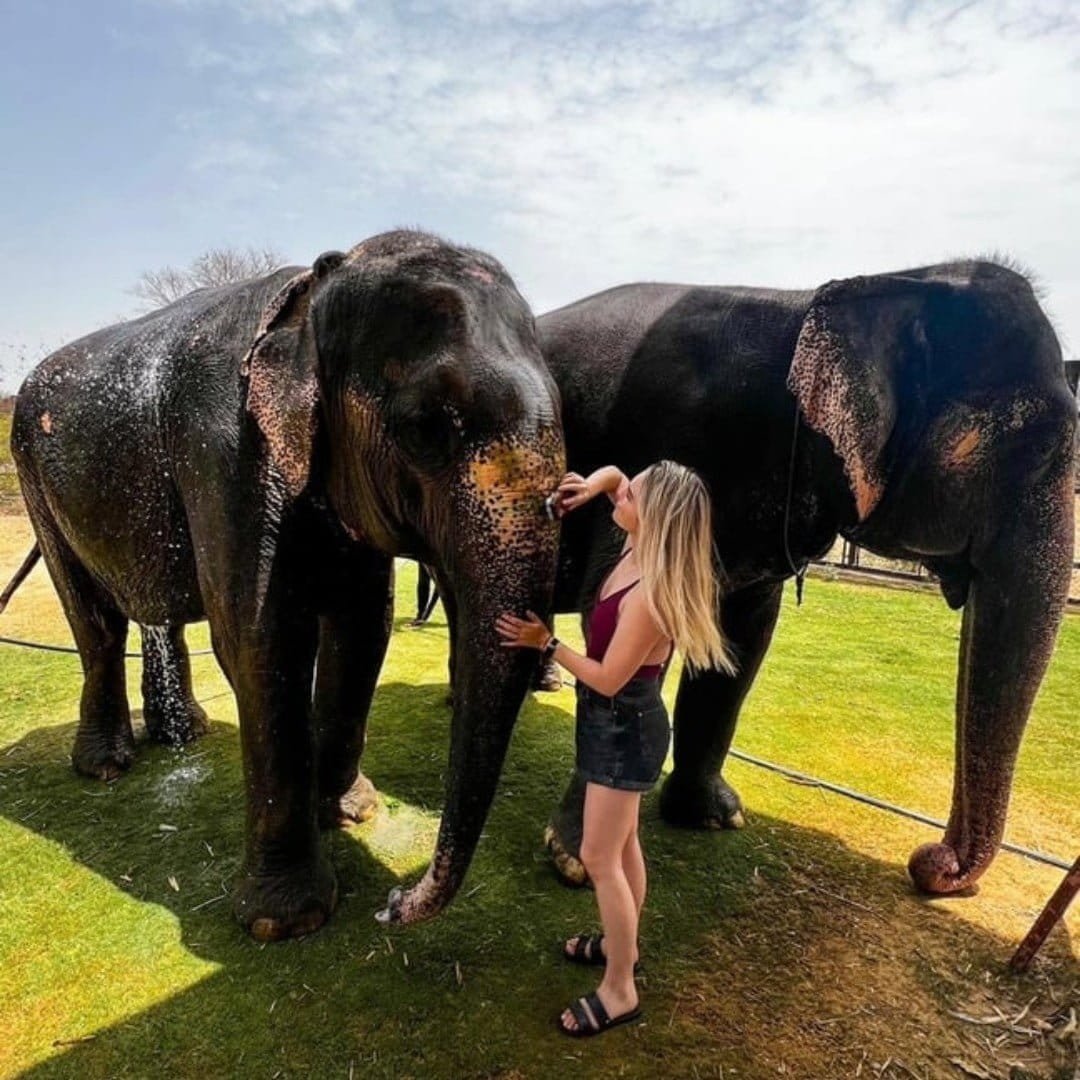 best elephant sanctuary girl enjoy