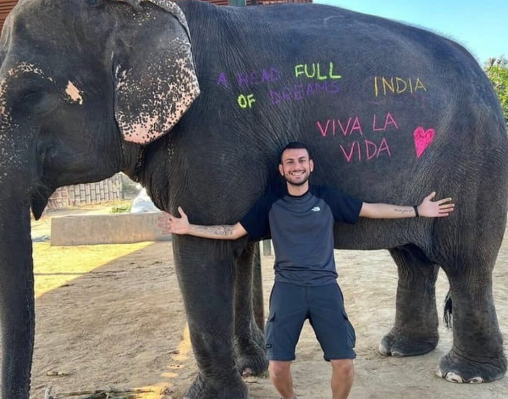 elephant tour activity