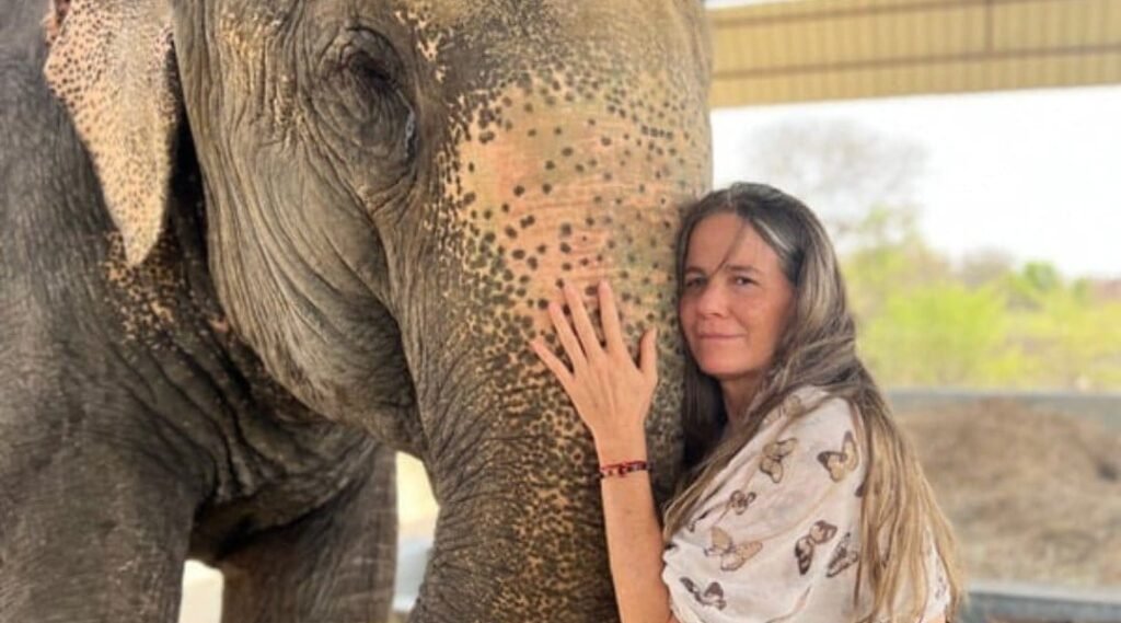 elephant tour activity